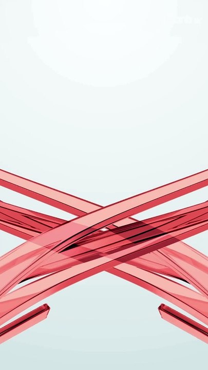 Cobra gigante aterroriza moradores de Florianópolis; veja