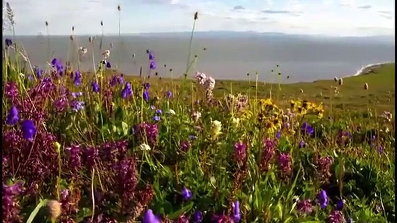 Arctic Secrets - Se1 - Ep03 - Delta Discoveries HD Watch HD Deutsch