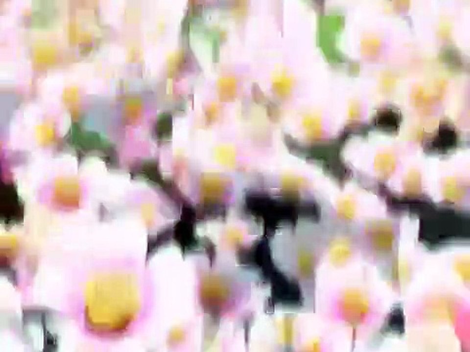 Ai Yori Aoshi - Ep08 HD Watch HD Deutsch