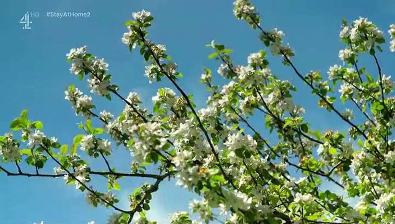 Sarah Beeny's New Life in the Country - Se1 - Ep02 HD Watch HD Deutsch