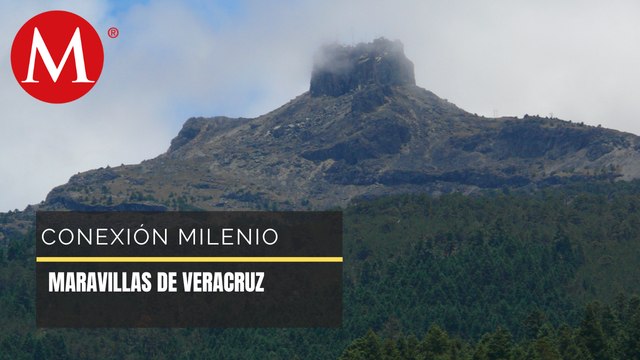 Estampas de Veracruz | Conexión Milenio