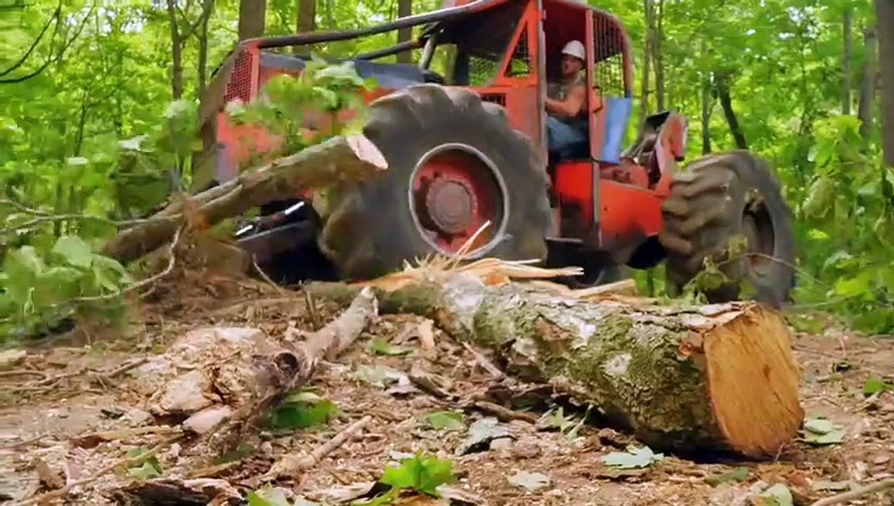 Blood Money (2018) - Se1 - Ep01 - Where the Redferns Grow HD Watch HD Deutsch