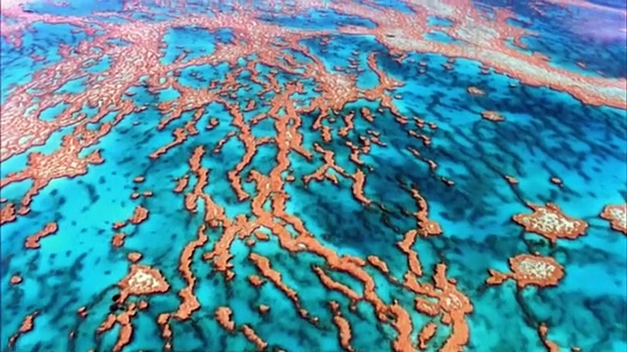 Super Senses - Se1 - Ep08 HD Watch HD Deutsch