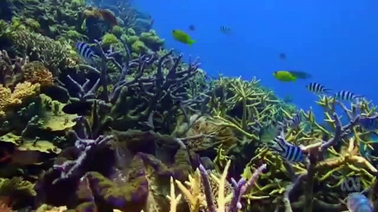 Catalyst - Se18 - Ep08 HD Watch HD Deutsch