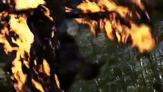 Dragon Quest - Le réveil du dragon Bande-annonce (EN)