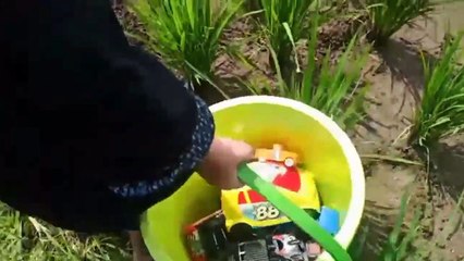 Mencari mainan di sawah