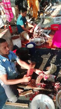 Fastest Fish Cutting Skills | Large Scale Fish Cutting at Fish Market