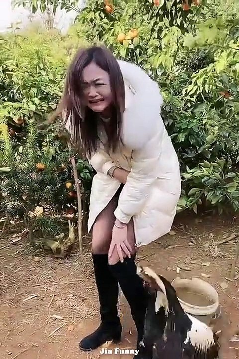 video bikin ngakak ketawa terbahak bahak lucu ngakak guling guling