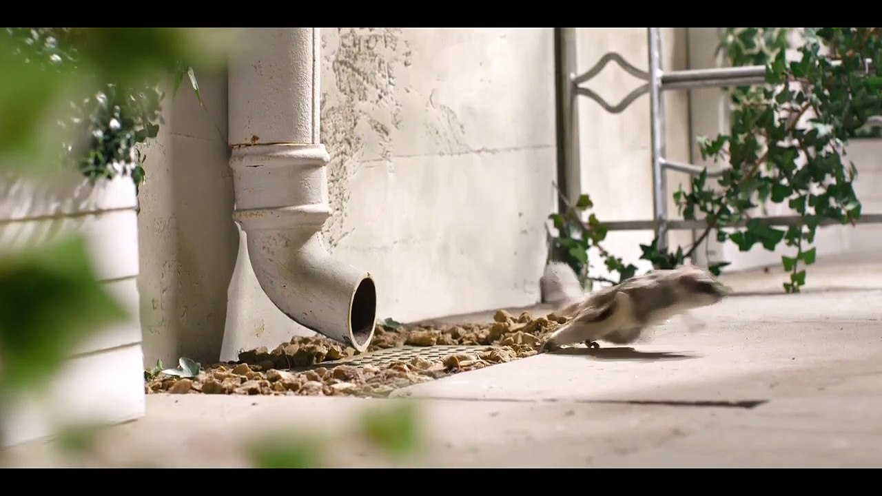 Tiny Creatures - Se1 - Ep05 HD Watch HD Deutsch