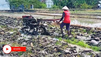 Quick G1000 boxer tractor, the process of clearing the fields