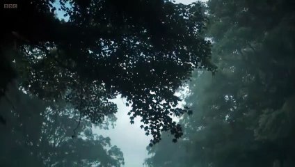 Great Expectations - Se1 - Ep03 HD Watch HD Deutsch