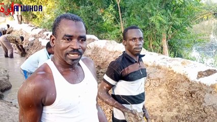 Tchad : ils renforcent des digues à mains nues à Walia face à la crue