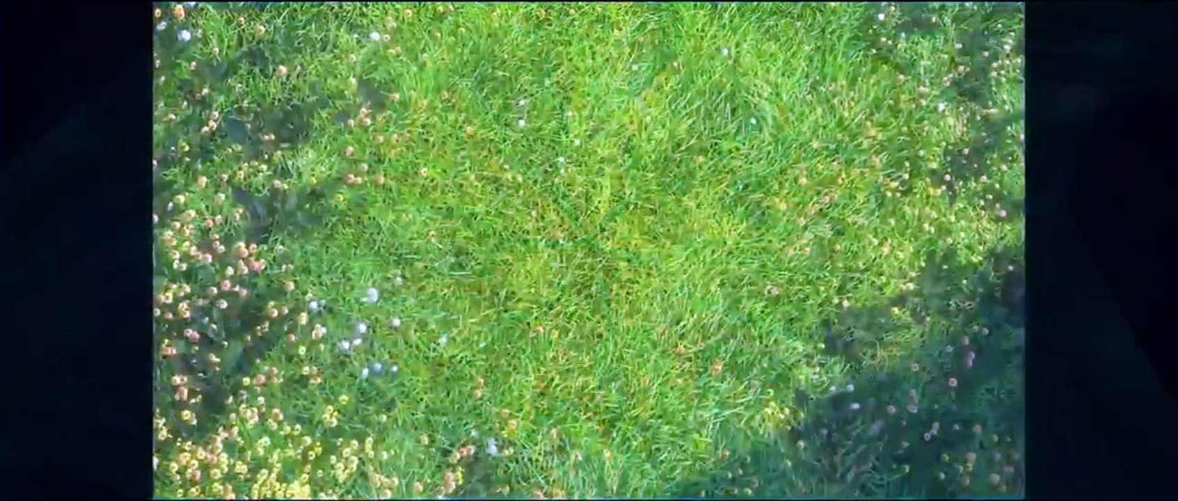 Zenimation - Se1 - Ep03 - Discovery HD Watch HD Deutsch