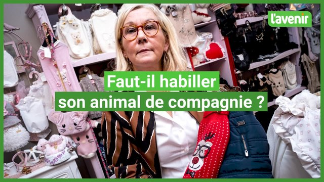 Des vêtements pour les animaux de compagnie