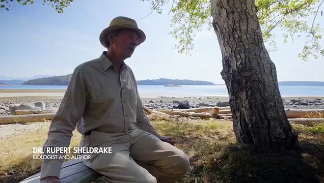 Mister Tachyon - Se1 - Ep05 - Can Our Minds Cross Time and Space HD Watch HD Deutsch