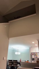 Bold Cat Slides Down Banister