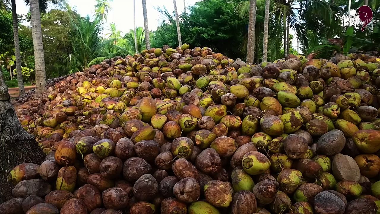 Mood changing Coconuts for my Brother's Coconut fried rice & for my Coconut cookies!_ Traditional Me