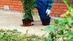 Unexpected Gardening Hacks to make your Plants grow