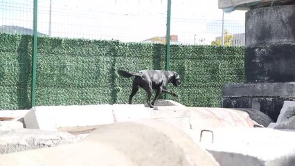 Lena Artık Bak Kadıköy Ekibiyle Arama Çalışmalarına Katılmaya Hazır