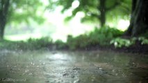 Rain Sounds and Thunder - 10 minutes Sleep Meditation Sound