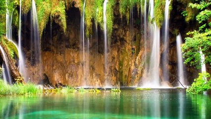 Most relaxing Music ever - Rain Forest Meditation (1)