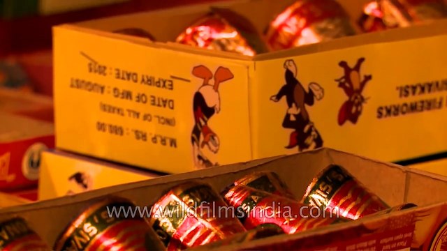 India celebrates Diwali with crackers worth millions!