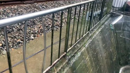 三貂嶺鐵道瀑布好壯觀  #fyp #foryou  #柯文哲 #黃珊珊 #蔡英文 #蔣萬安 #陳時中 #高虹安 #蘇貞昌 #韓國瑜 #柯志恩 #張善政 #上熱門 #fypシ #foryoupage #viral #上推薦通知我 #上推薦 #f4f