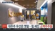 대주주 우선은 옛말…힘 세진 소액주주들