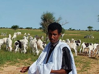 AKU DENGAR BISIKAN SUARAMU (MB 465)