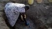 Kenya's Turkana region ravaged by prolonged drought