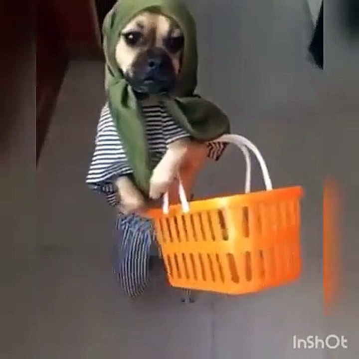 Haydi Alişverişe