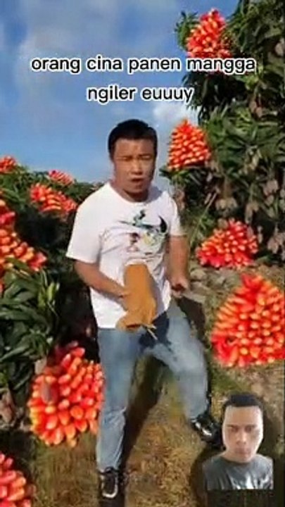 Mangga terbaik didunia
