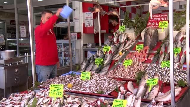 SAMSUN'DA BALIK TEZGAHLARI PALAMUTLA DOLDU