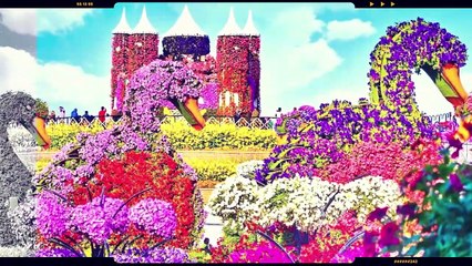 The Largest Flower In The World - Miracle Garden Dubai