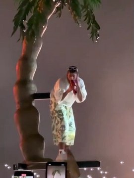 Bad Bunny llegó casi hasta las gradas en su concierto