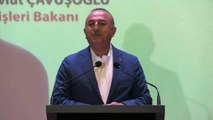 Çavuşoğlu: 