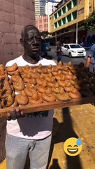 Animals funny video cat funny moments