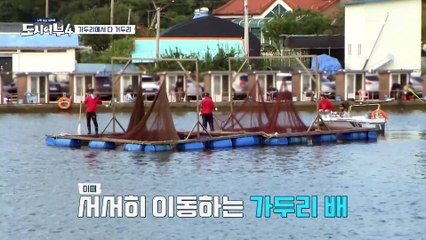 도시어부를 구원하러 왔다! 찌 위에 뿌려지는 홍돔, 참돔, 민어（⊙ｏ⊙）