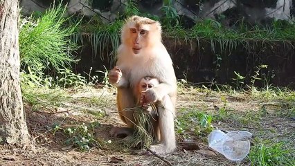 Hey good! baby Marco is small but he drinks a lot of water