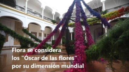 Flora 2022 muestra desde Córdoba el mejor arte floral del mundo