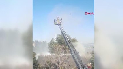 Son Dakika | BOĞAZİÇİ ÜNİVERSİTESİ KAMPÜSÜNDE YANGIN