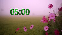 5 minute timer Flovers in nature with relaxation music - Timers Vibe