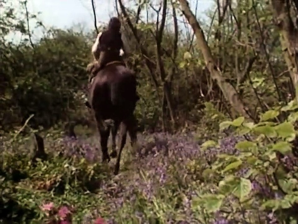 Black Beauty Staffel 1 Folge 16 HD Deutsch