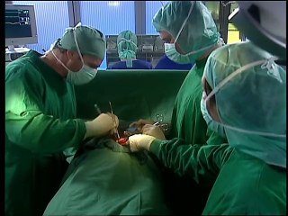 Alphateam - Die Lebensretter im OP Staffel 8 Folge 2 HD Deutsch