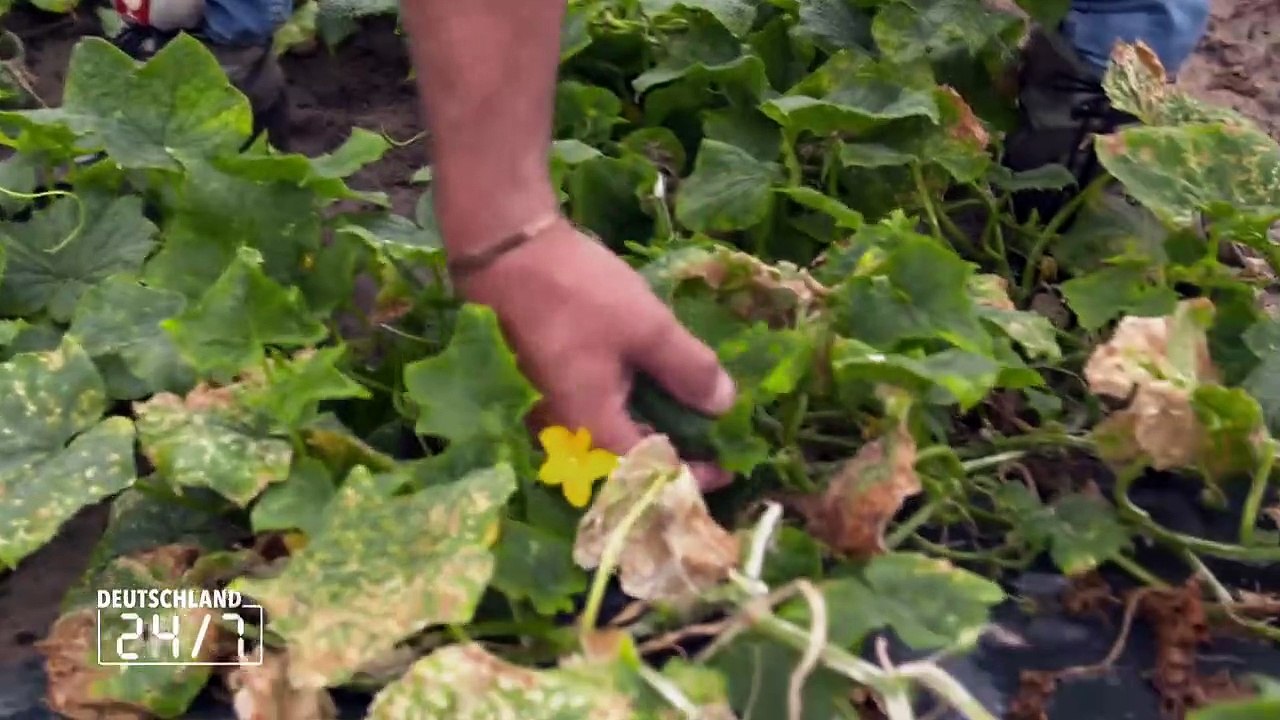 Deutschland 24-7 - Ohne uns läuft nichts! Staffel 2 Folge 15 HD Deutsch