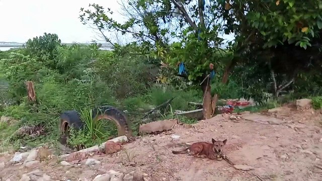 Jogging gaess #jogging #sehat