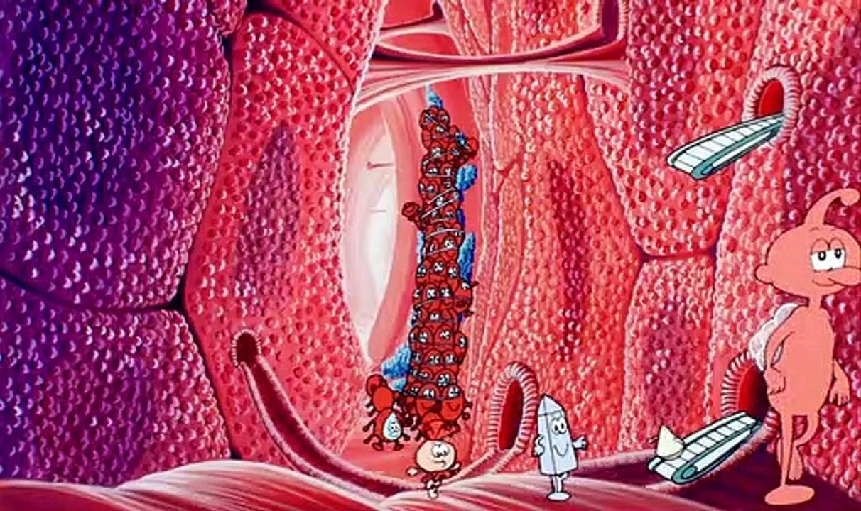 Es war einmal … das Leben Staffel 1 Folge 6 HD Deutsch