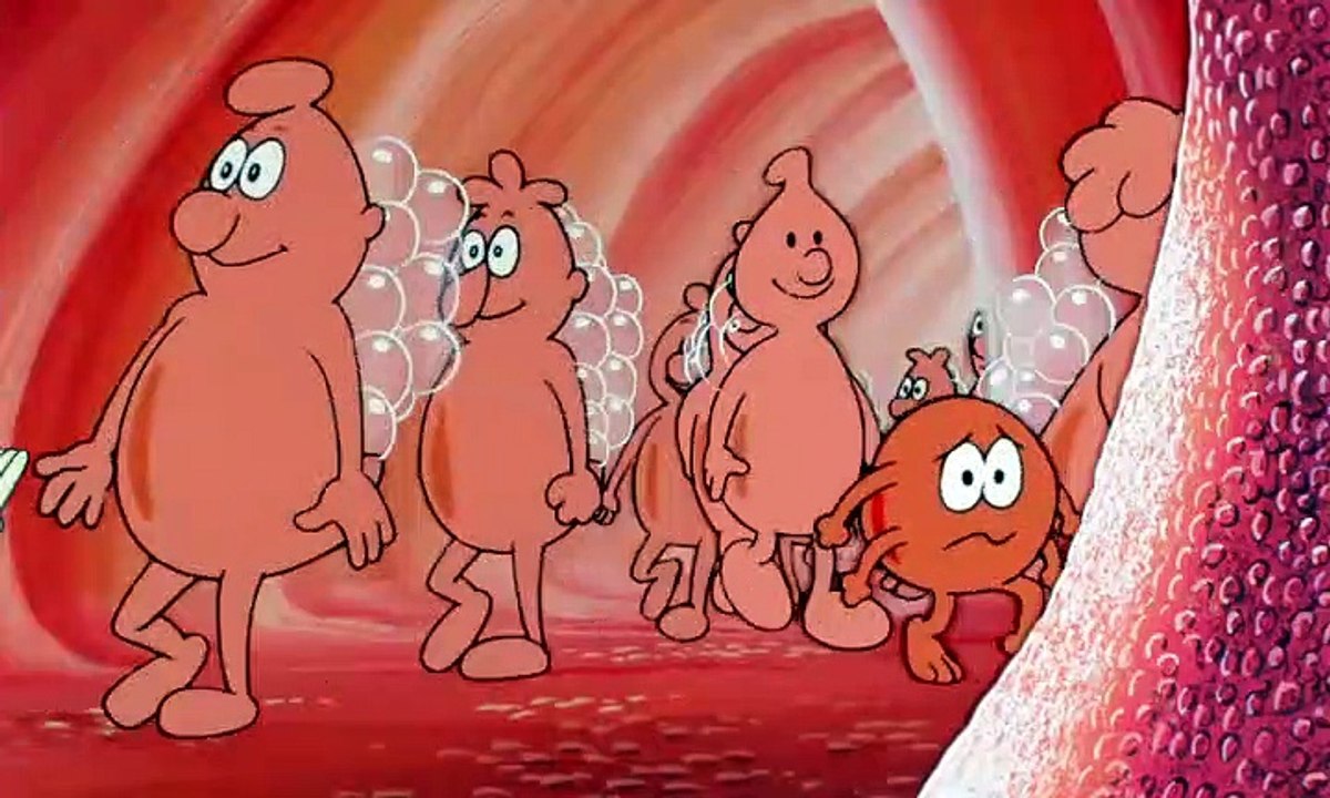 Es war einmal … das leben staffel 1 folge 5 hd deutsch