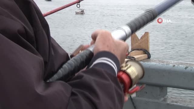 Balıkesir haberi... Marmara Denizi için tehlike çanları çalıyor: İstilacı türler kapıda