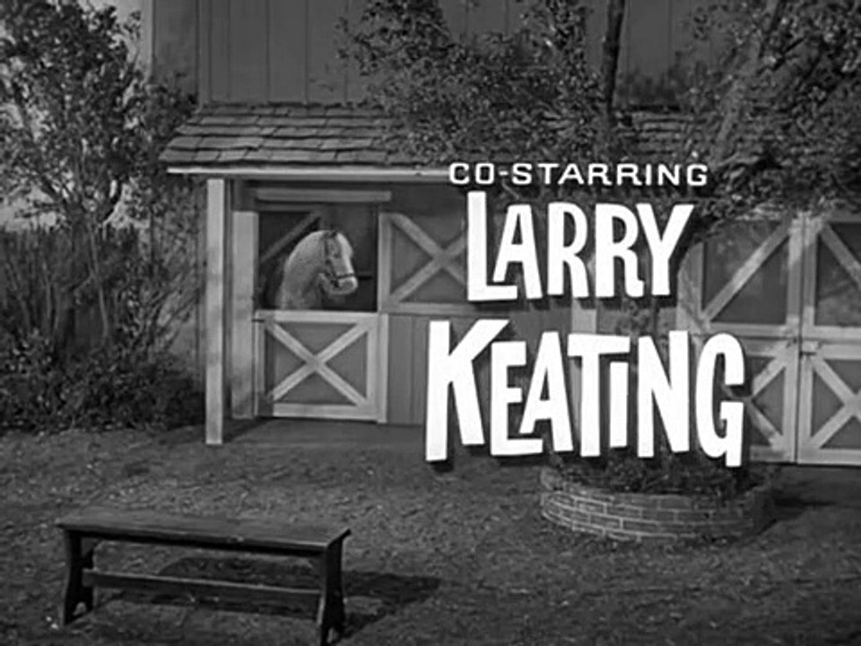 Mr. ed staffel 2 folge 23 hd deutsch